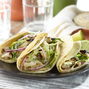 Fish Grilled taco